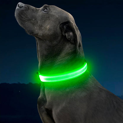 LED Dog Collar, Light up Dog Collar Rechargeable Glow in Dark Pet Collar Safety Dog Lights for Night Walking Camping (Green, Large)