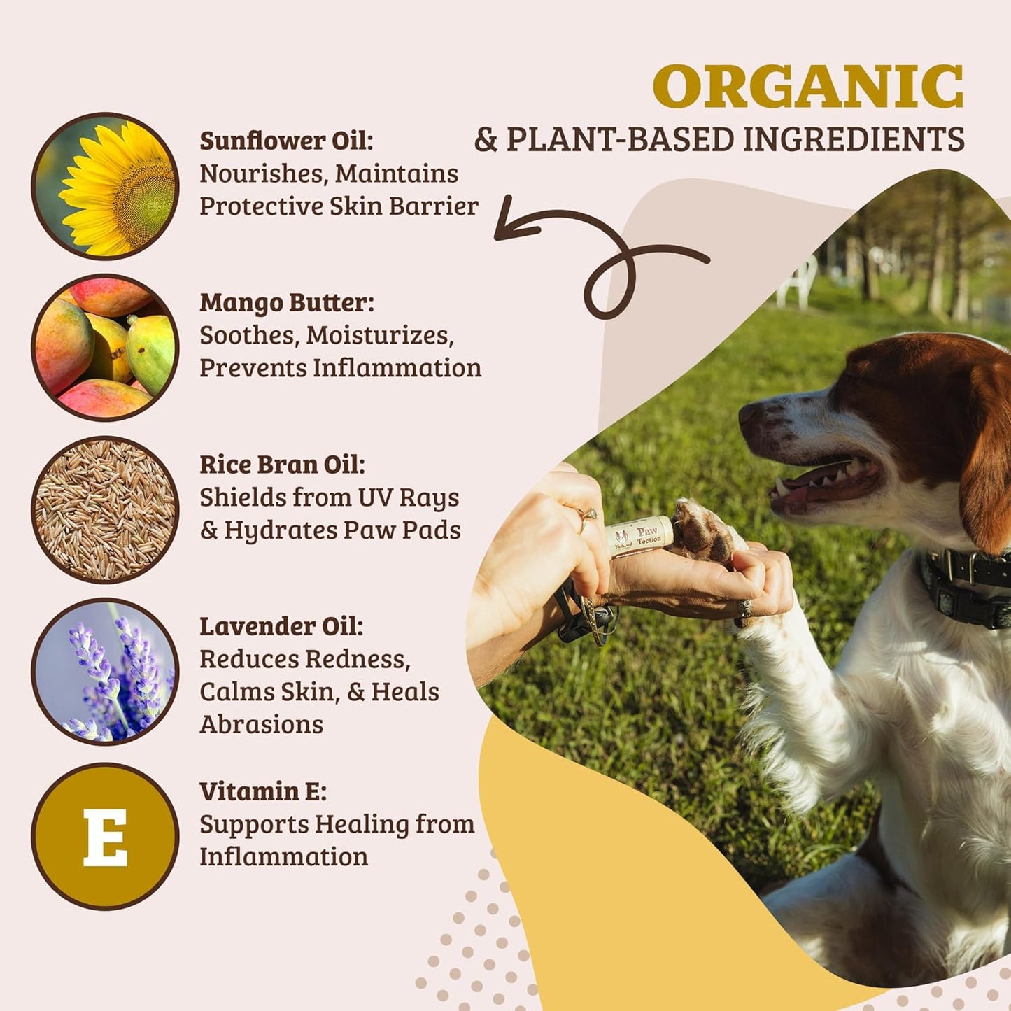 Pawtection Balm for Hot Pavement, Dry Cracked Dog Paws, and Rough Terrain - Safe, Non-Toxic, and Lick Safe - Protects Paws with Natural Ingredients, 0.15 Oz Stick