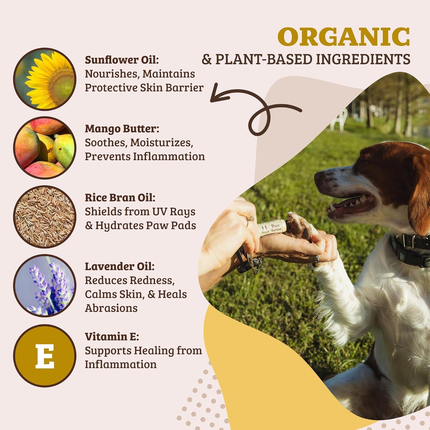 Pawtection Balm for Hot Pavement, Dry Cracked Dog Paws, and Rough Terrain - Safe, Non-Toxic, and Lick Safe - Protects Paws with Natural Ingredients, 0.15 Oz Stick